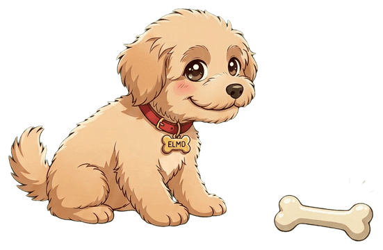 Elmo, a fluffy Morkie puppy, sitting beside a bone